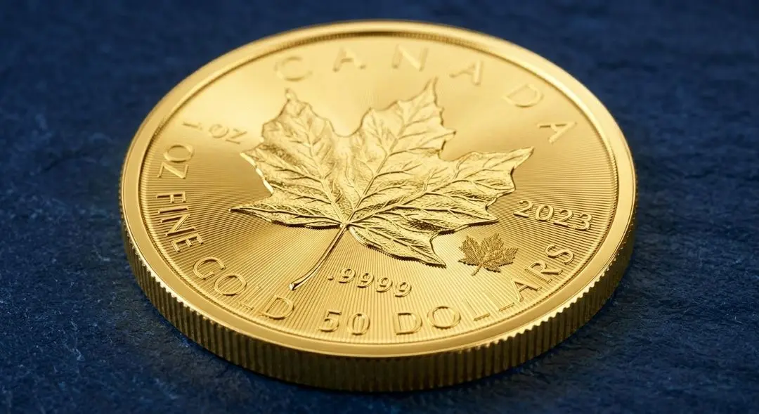Close-up of a gold Canadian Maple Leaf coin